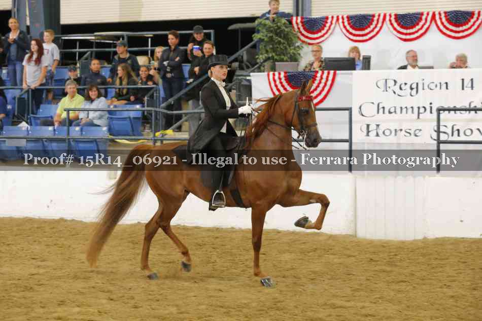 Proof Number 15R14_06921