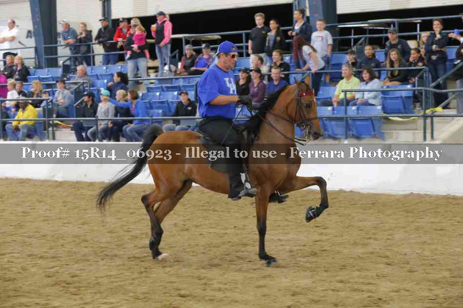 Proof Number 15R14_06923