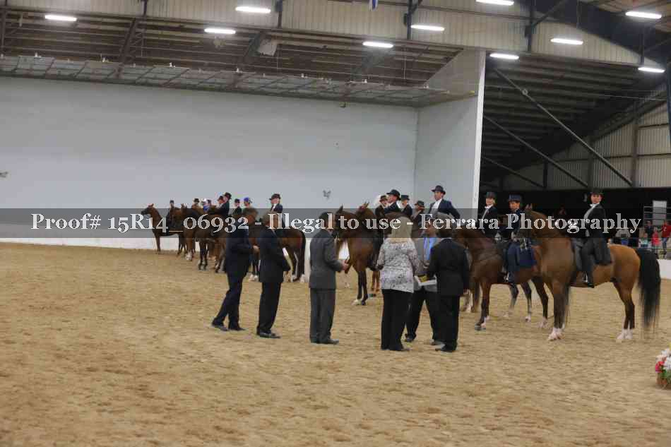 Proof Number 15R14_06932
