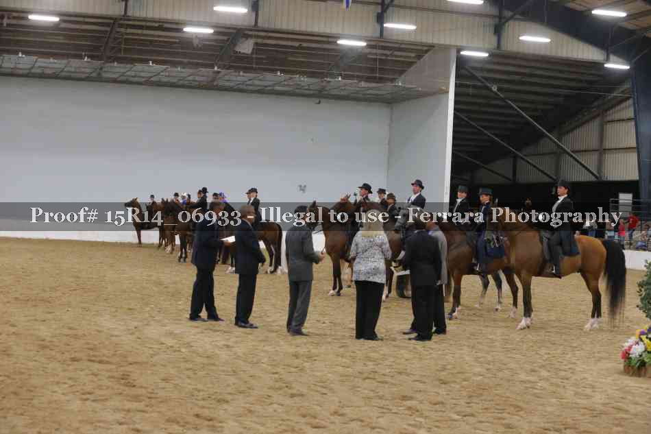 Proof Number 15R14_06933