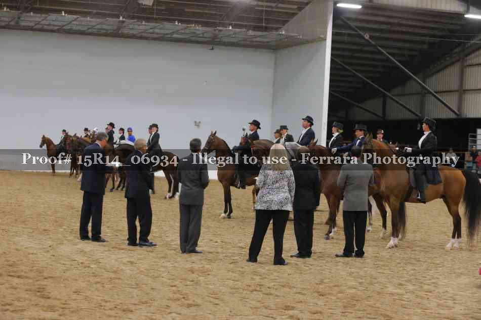 Proof Number 15R14_06934