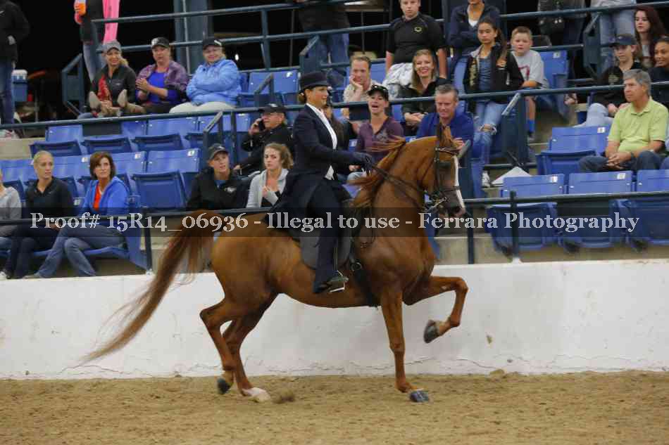 Proof Number 15R14_06936