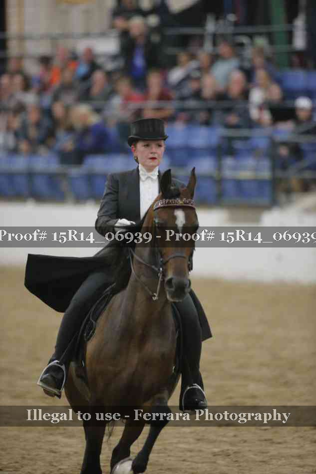 Proof Number 15R14_06939