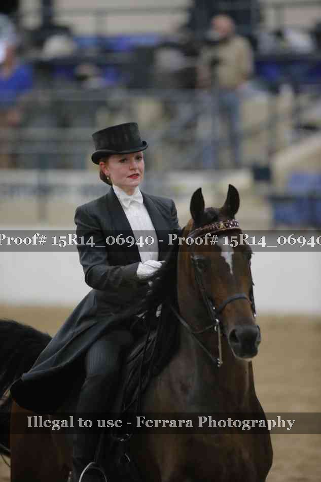 Proof Number 15R14_06940