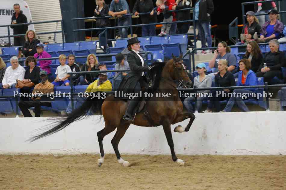 Proof Number 15R14_06943