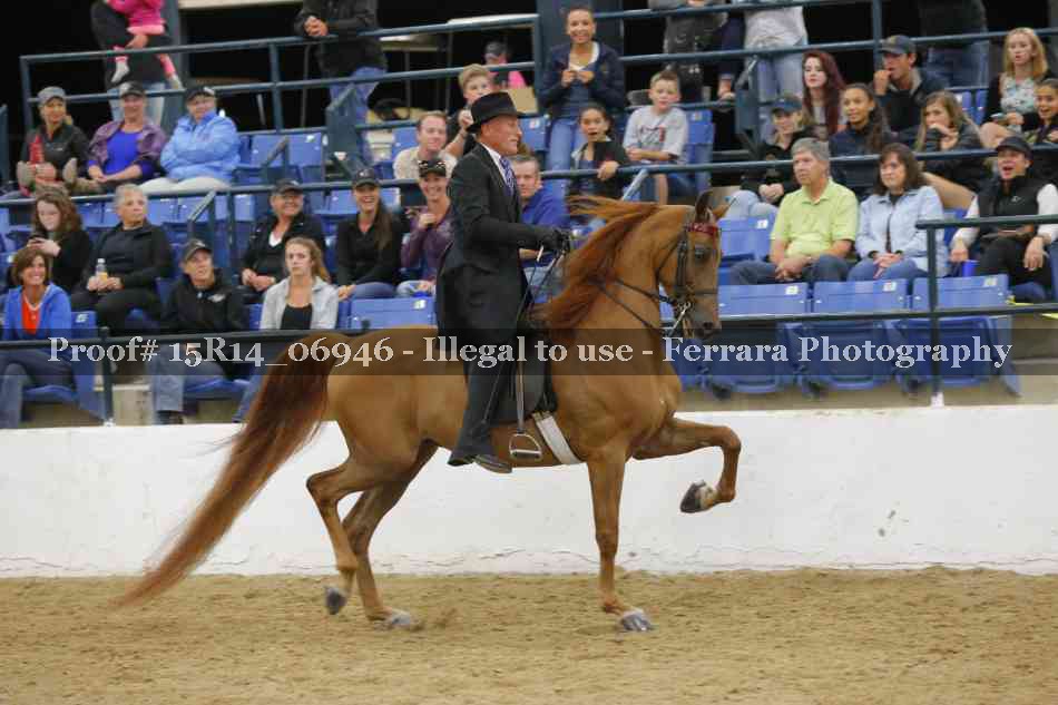 Proof Number 15R14_06946