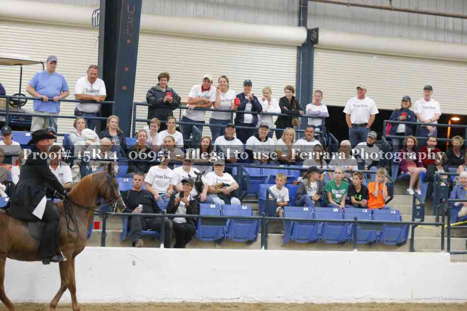 Proof Number 15R14_06951