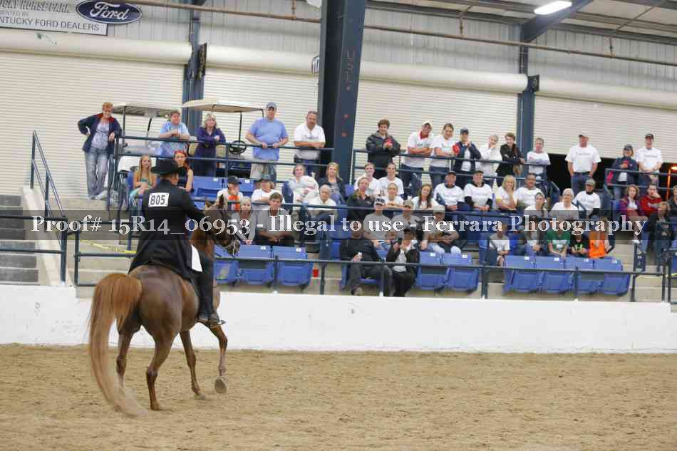Proof Number 15R14_06953