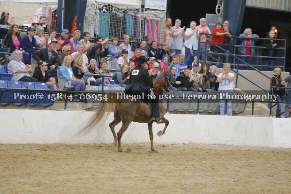 Proof Number 15R14_06954