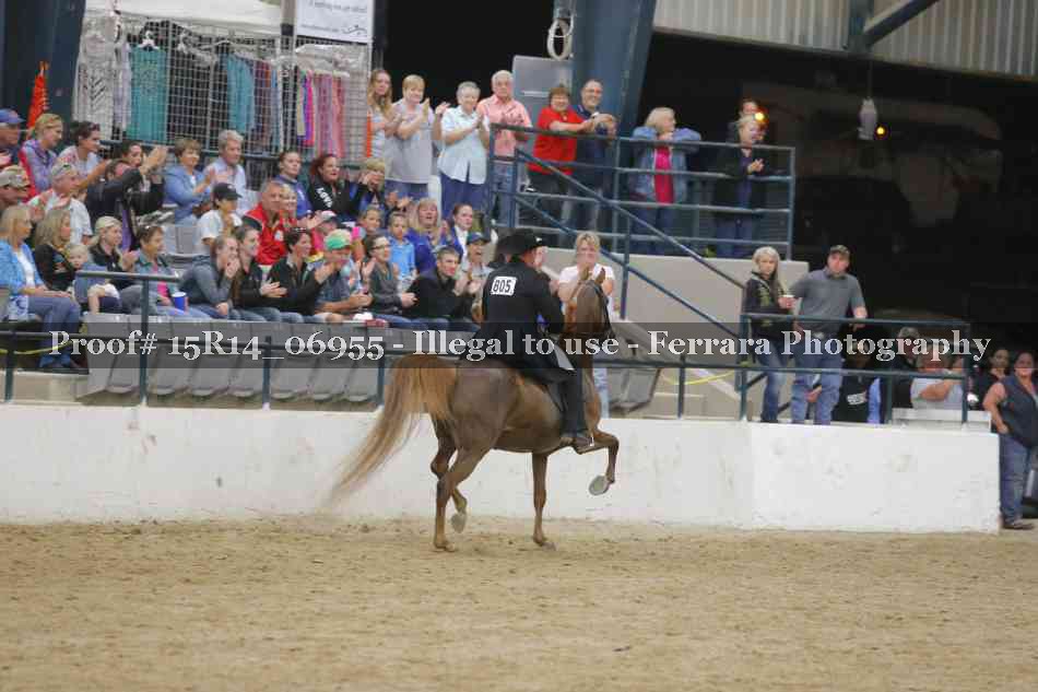 Proof Number 15R14_06955