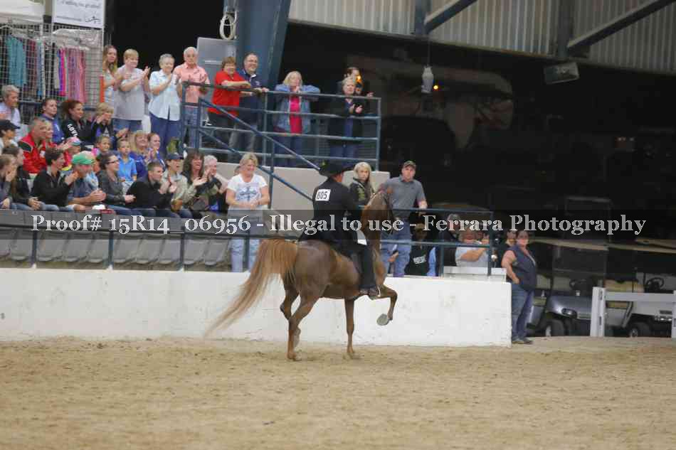 Proof Number 15R14_06956
