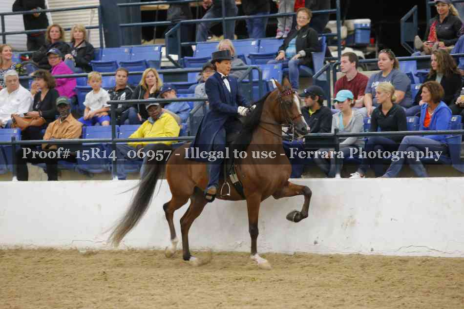 Proof Number 15R14_06957
