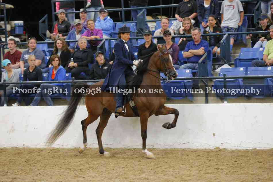 Proof Number 15R14_06958