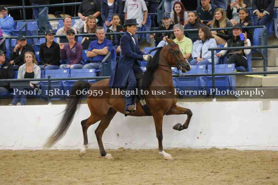 Proof Number 15R14_06959