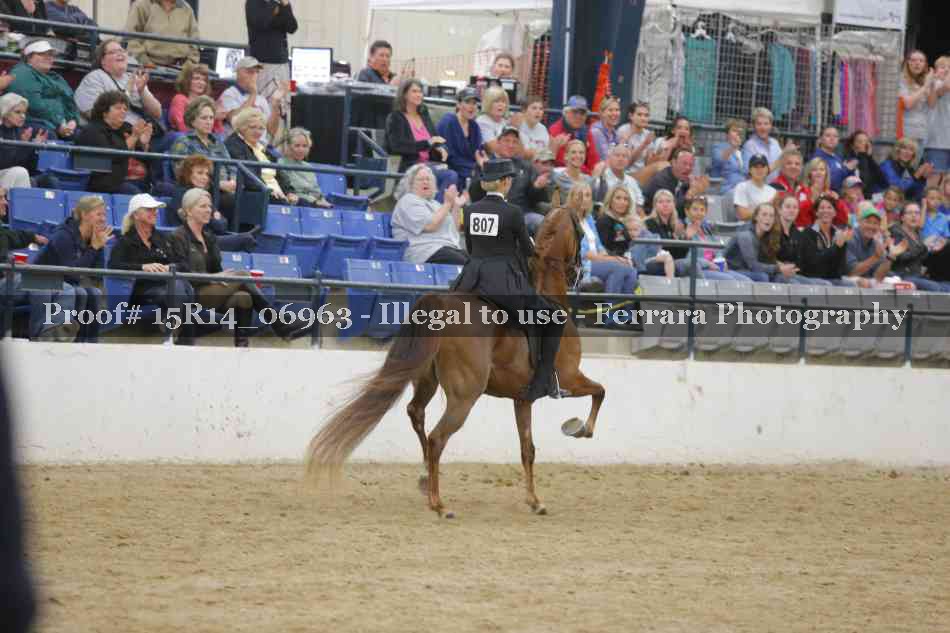 Proof Number 15R14_06963