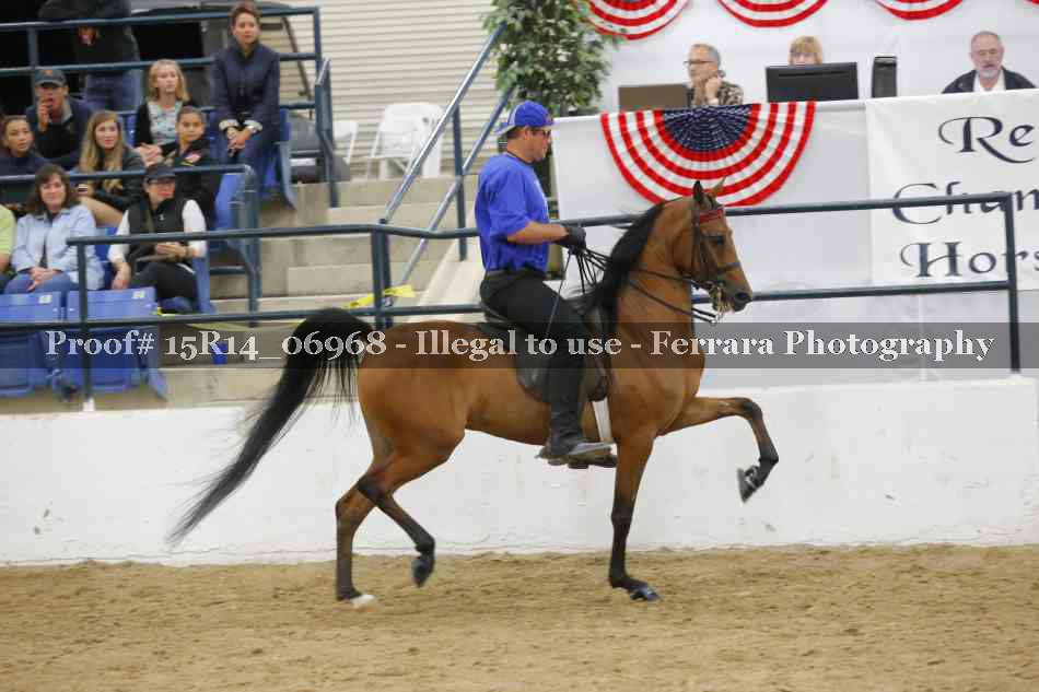 Proof Number 15R14_06968