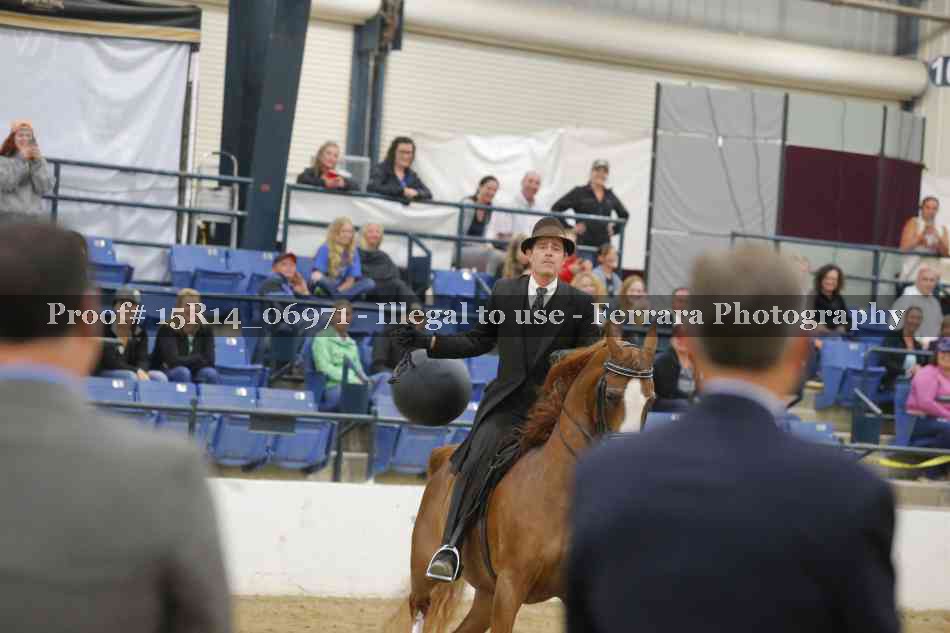 Proof Number 15R14_06971