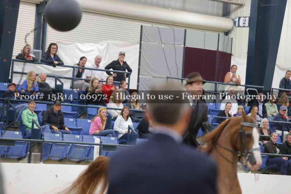 Proof Number 15R14_06972