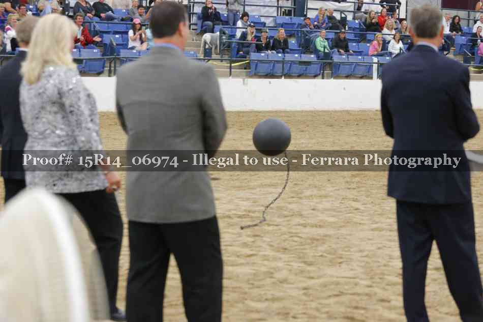 Proof Number 15R14_06974