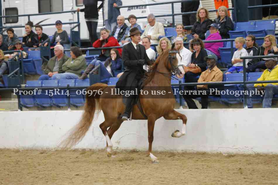 Proof Number 15R14_06976