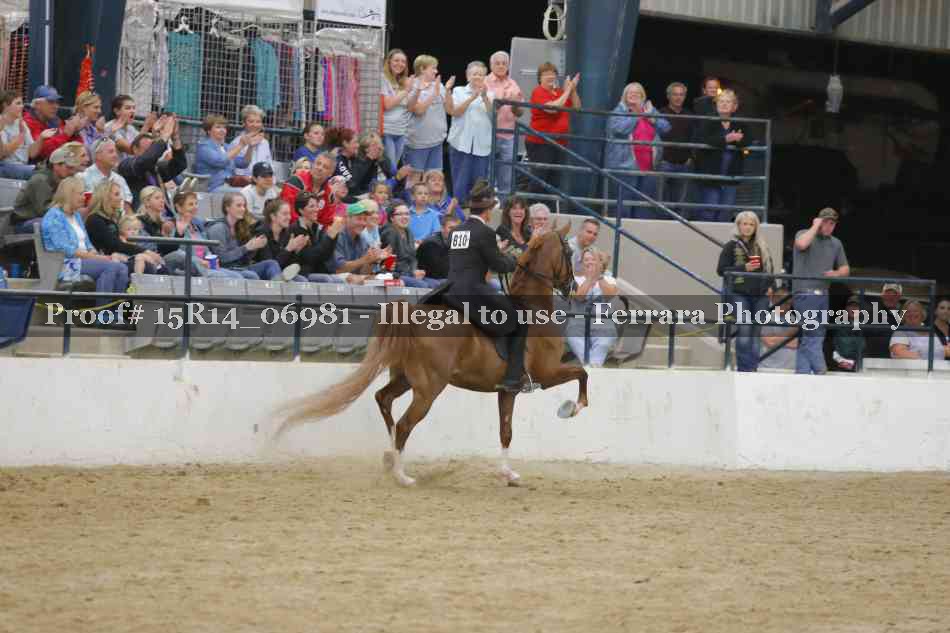 Proof Number 15R14_06981