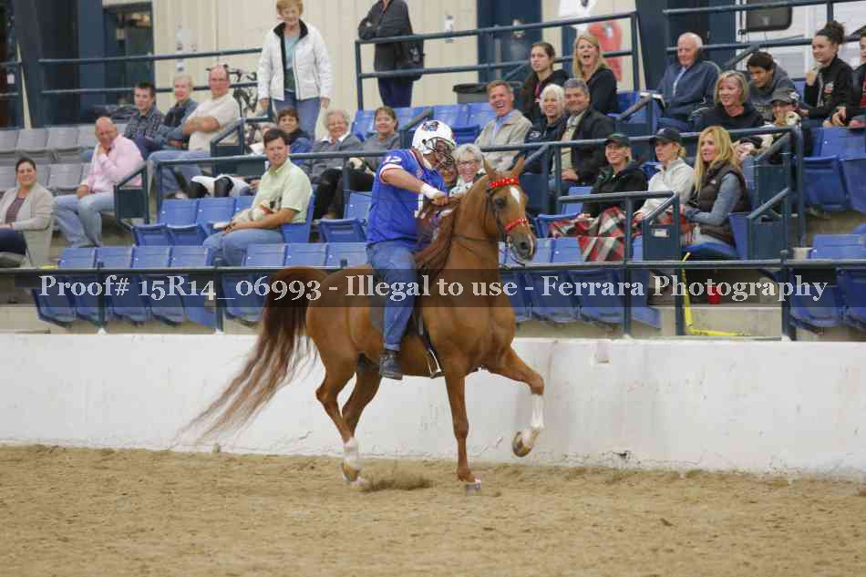 Proof Number 15R14_06993