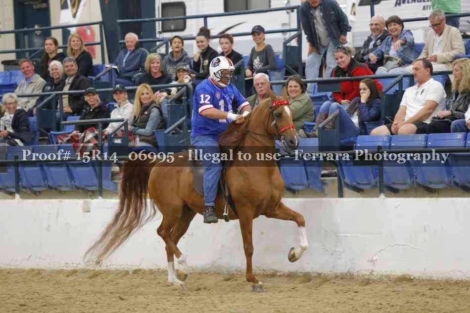 Proof Number 15R14_06995