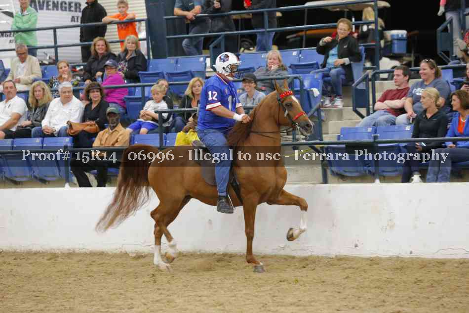 Proof Number 15R14_06996