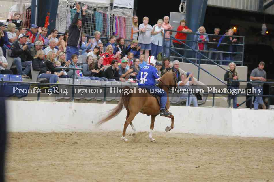 Proof Number 15R14_07000