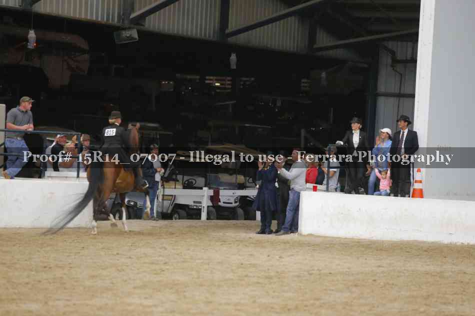 Proof Number 15R14_07007