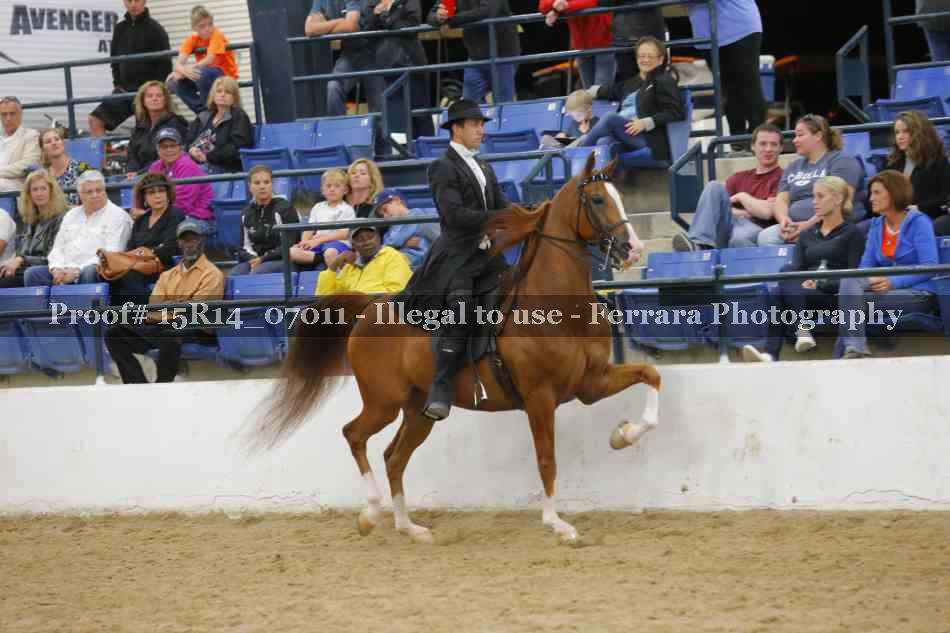 Proof Number 15R14_07011