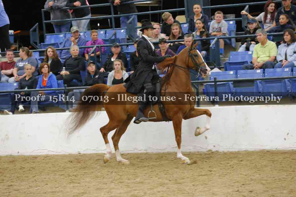 Proof Number 15R14_07013