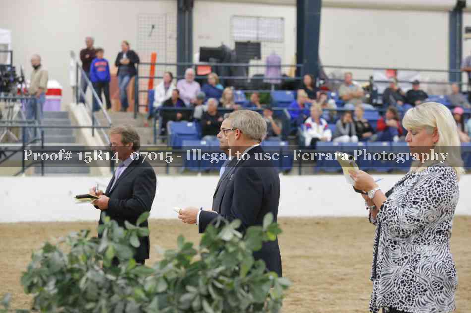 Proof Number 15R14_07015