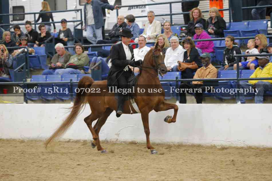 Proof Number 15R14_07022