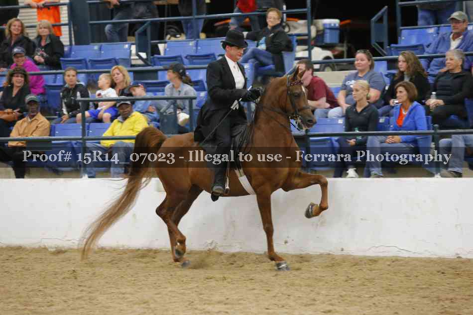 Proof Number 15R14_07023
