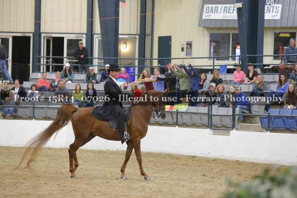 Proof Number 15R14_07026