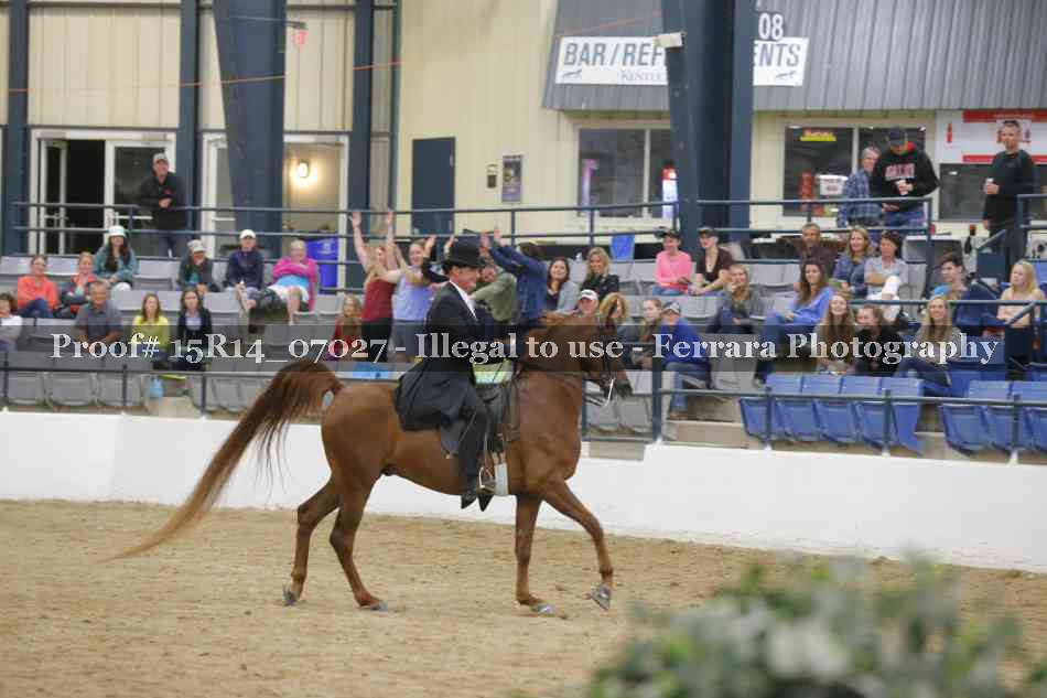 Proof Number 15R14_07027