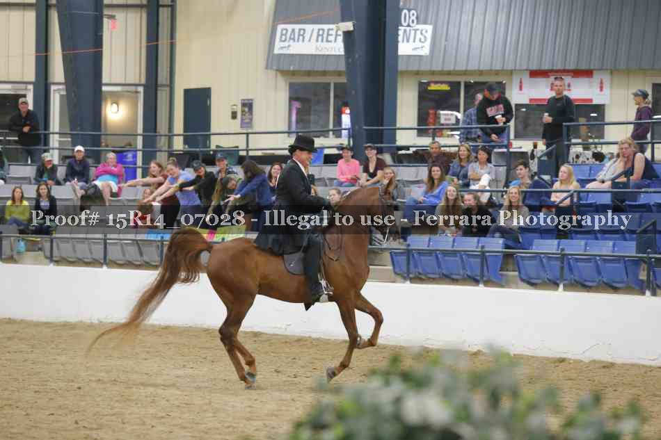 Proof Number 15R14_07028