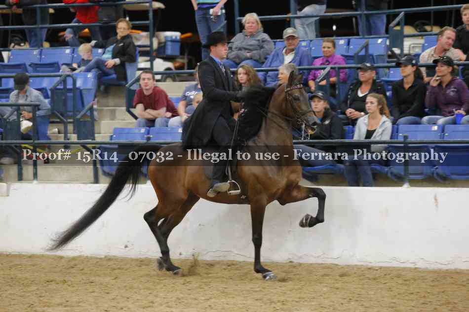 Proof Number 15R14_07032