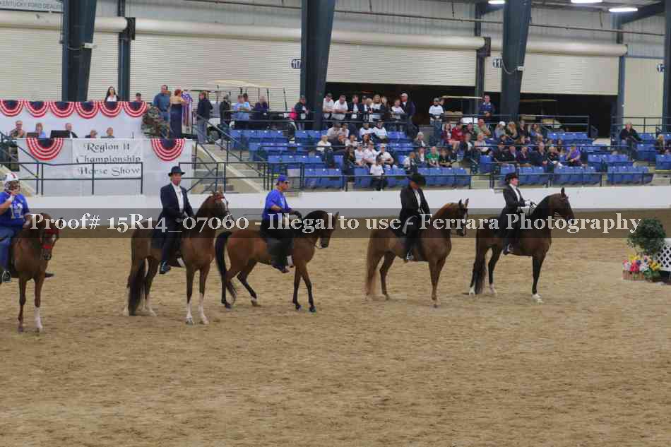 Proof Number 15R14_07060