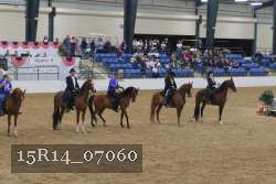 15R14_07060 thumbnail