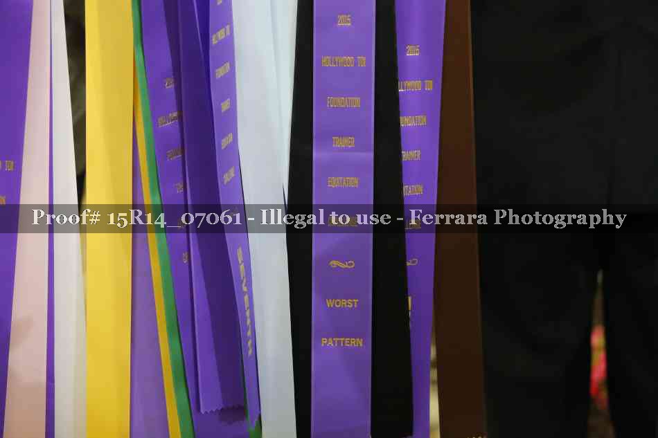 Proof Number 15R14_07061