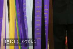 15R14_07061 thumbnail