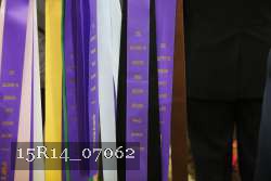 15R14_07062 thumbnail