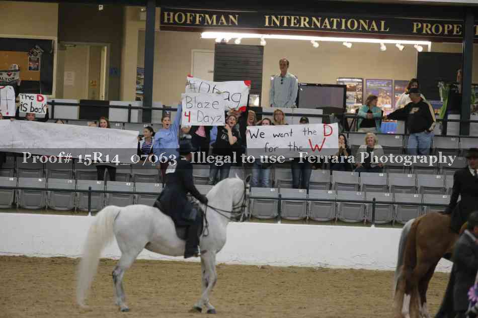 Proof Number 15R14_07063