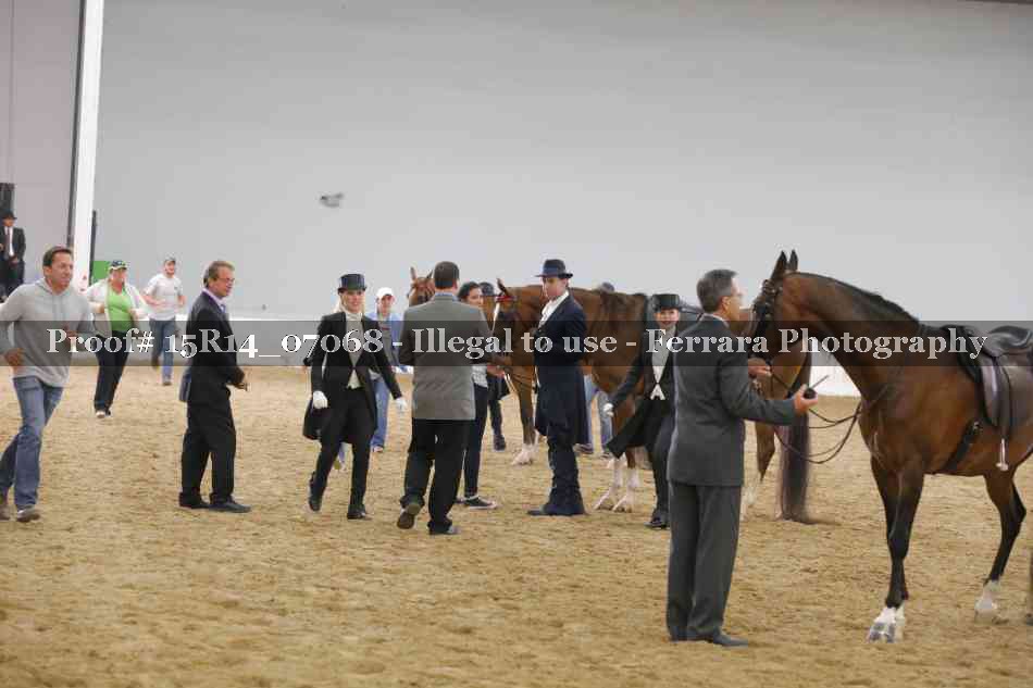 Proof Number 15R14_07068