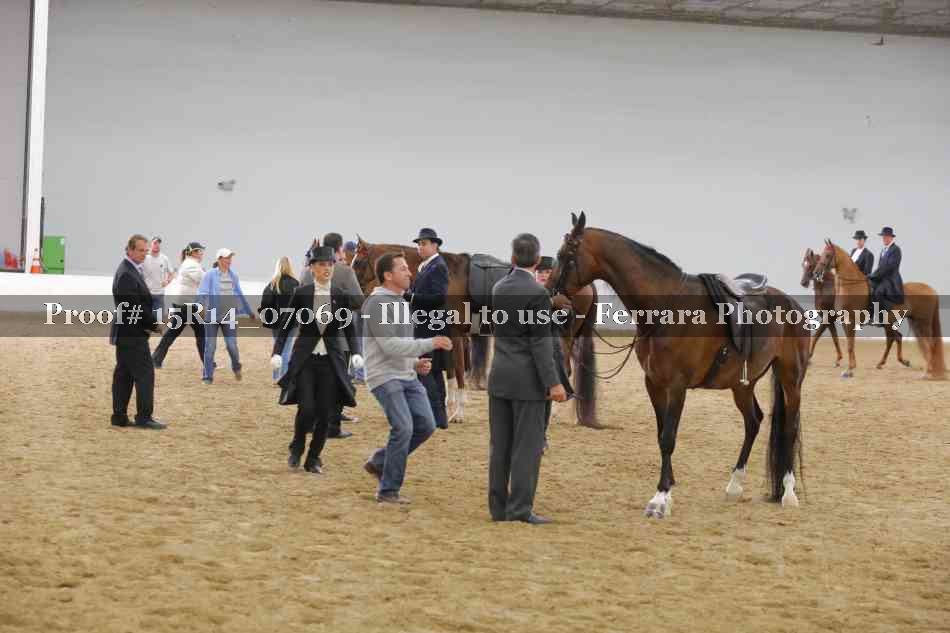 Proof Number 15R14_07069