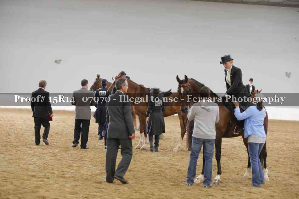 Proof Number 15R14_07070