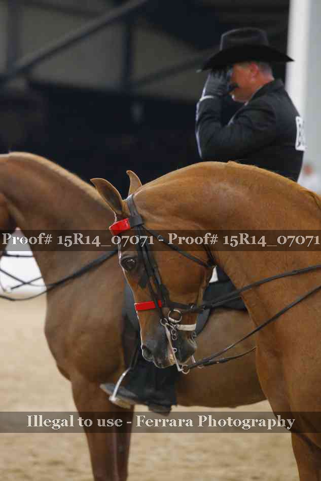 Proof Number 15R14_07071