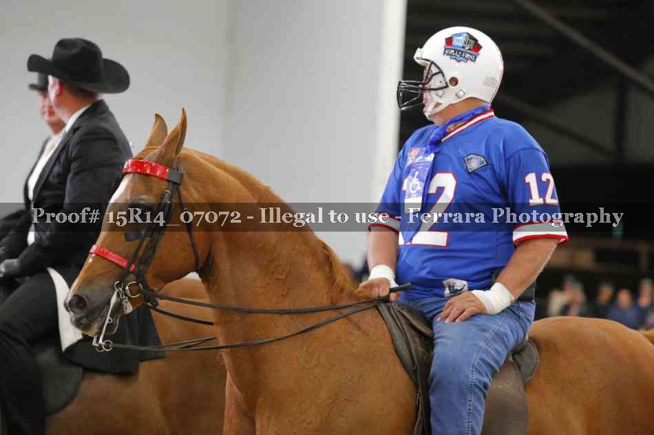 Proof Number 15R14_07072